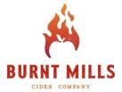 Burnt Mills Black Currant 4pk C