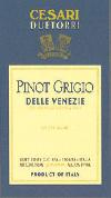 Due Torri - Pinot Grigio 0 (1.5L)